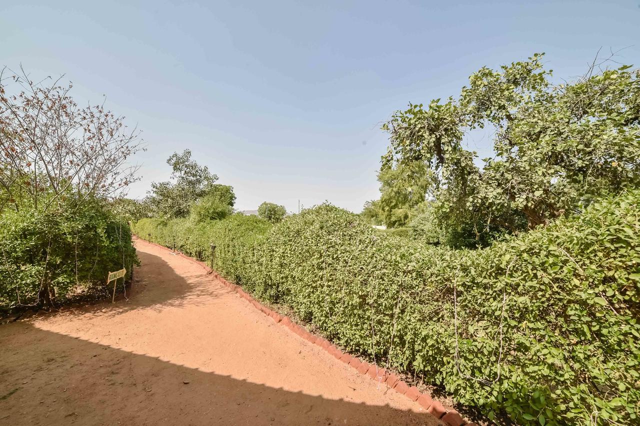 Pushkar Rajwara Resort Екстер'єр фото