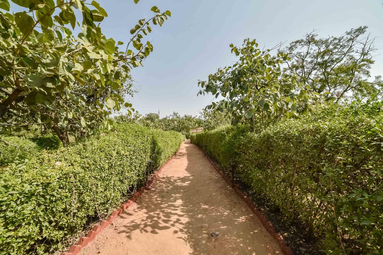 Pushkar Rajwara Resort Екстер'єр фото